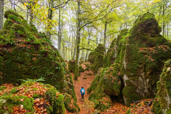 Hayedo Encantado apertura