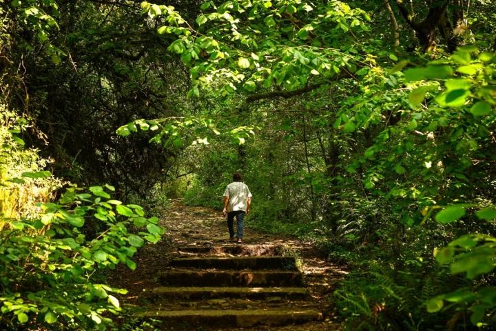 Rutas comarca O Deza (Pontevedra) camino