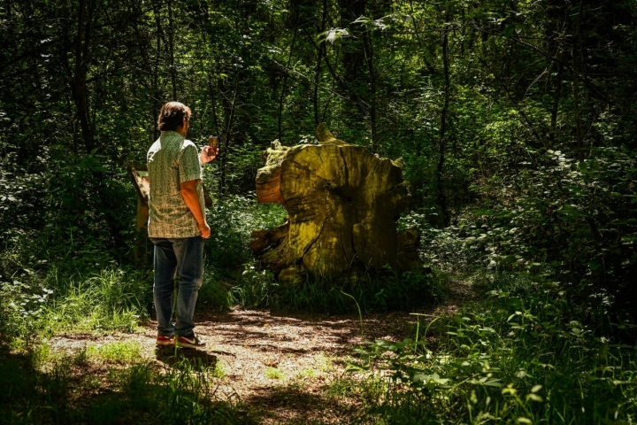Rutas comarca O Deza (Pontevedra) tronco