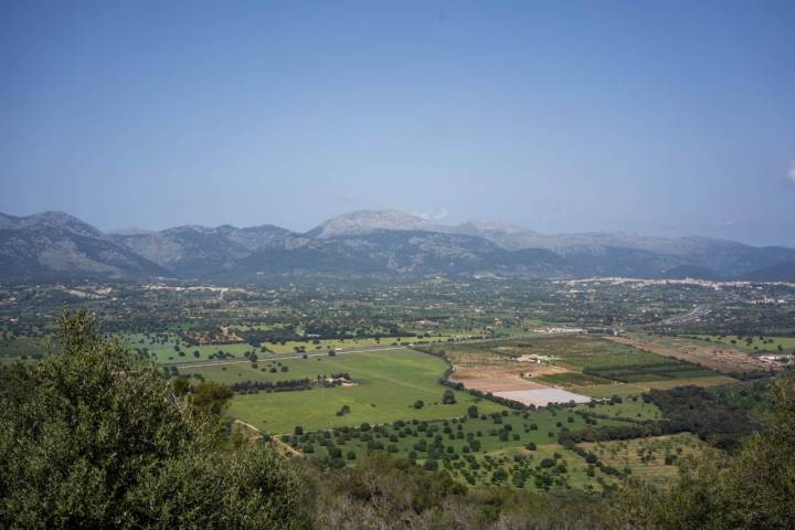 Vistas de Es Pla en la subida del Puig de Santa Magdalena (Mallorca).