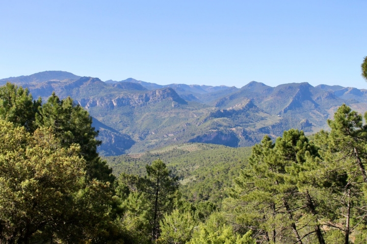 El Parque Natural de Cazorla, Segura y las Villas es el mayor de España.