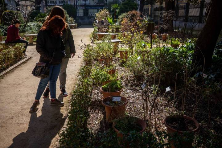 jardin botanico granada